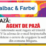 metalbac